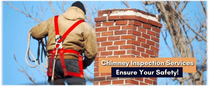 Chimney and Fireplace Inspection Rochester